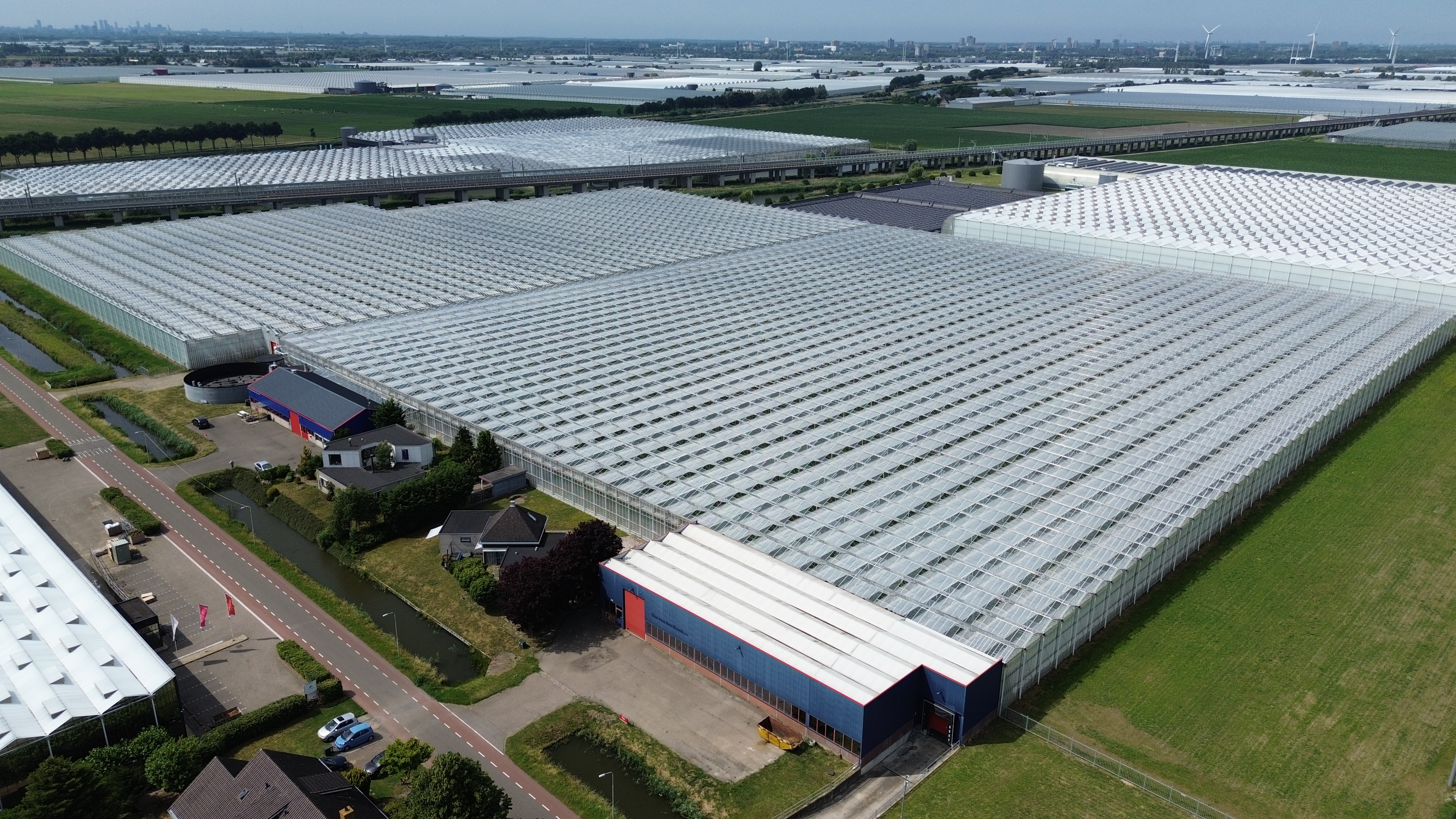 Locatie Anthuriumweg